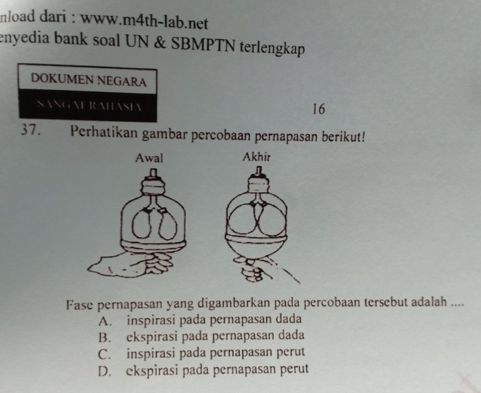 percobaan pernapasan dengan air kapur