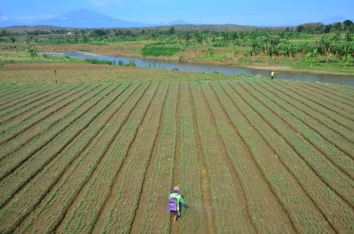 asal usul desa karanganyar