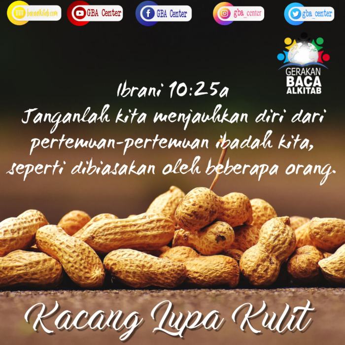 apa arti kacang lupa kulitnya terbaru