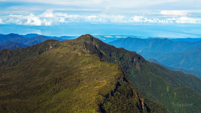 cagar alam gunung leuser terbaru