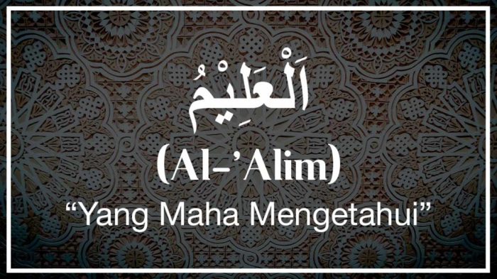 al alim al allamah artinya terbaru