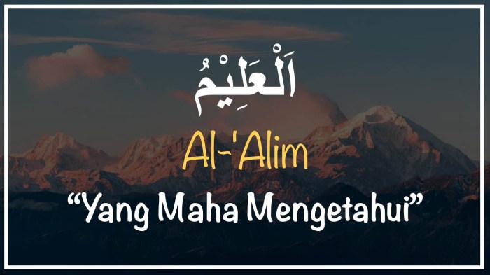 al alim al allamah artinya