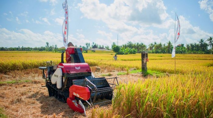 alat yang digunakan petani