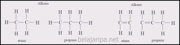 alkana alkena alkuna alkil