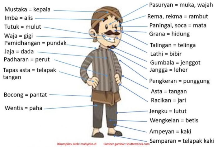 bahasa krama nyapu latar terbaru