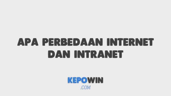 intranet pengertian perbedaan