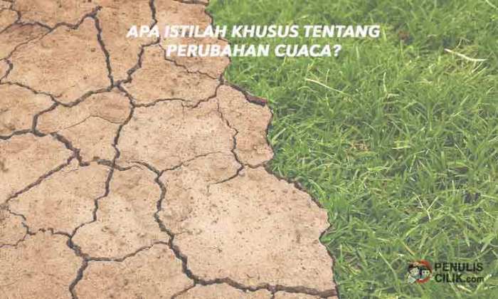 cerita pendek tentang cuaca