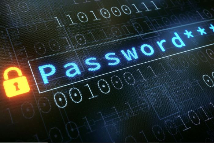 apa fungsi dari type password