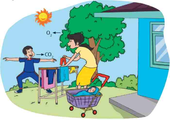 biologi jurusan berhubungan canva