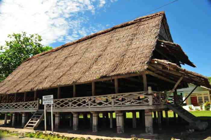 apa keunikan rumah adat lamin terbaru