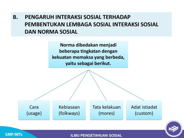 usage folkways mores custom terbaru