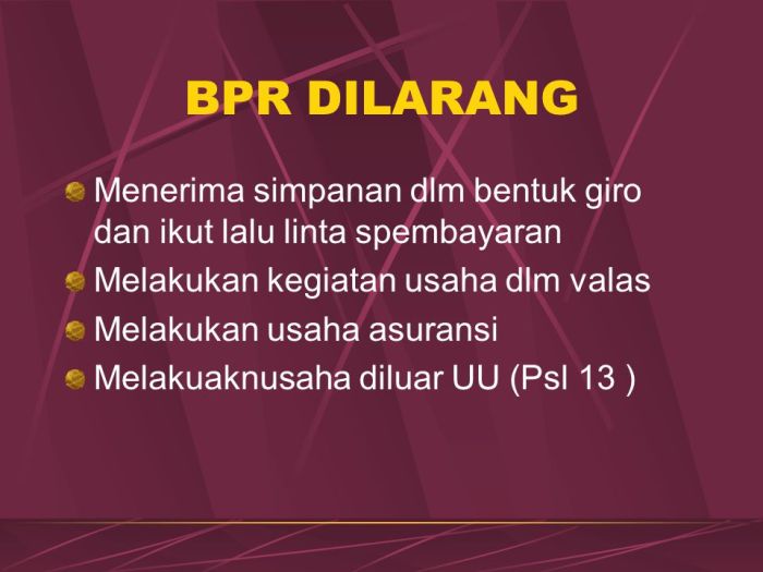 bpr dilarang melakukan usaha