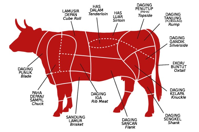 bagian tubuh sapi dan kegunaannya