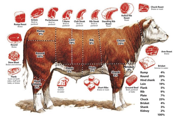 Bagian sapi yang memiliki daging terbanyak