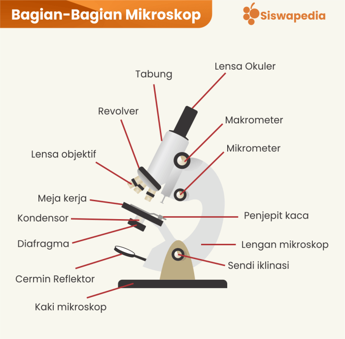 mikroskop cahaya dan fungsinya terbaru