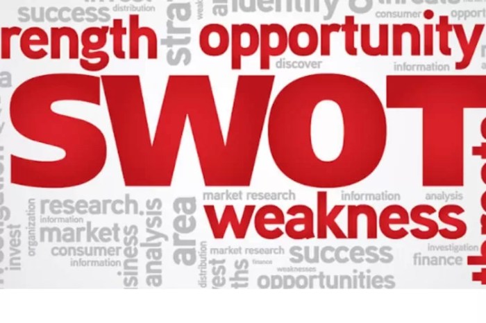 berikut ini adalah analisis swot kecuali