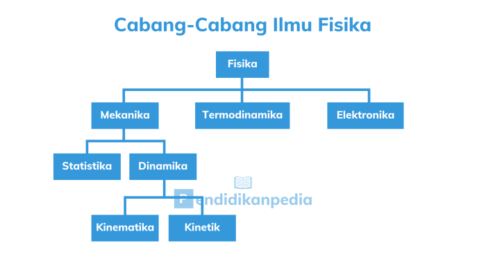 cabang ilmu biologi mempelajari tentang