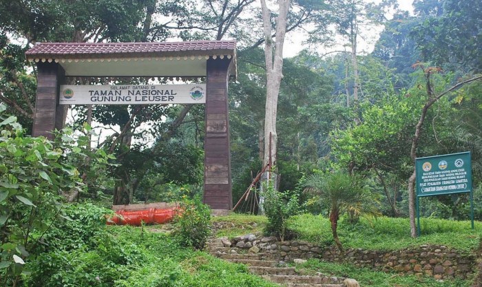 cagar alam gunung leuser