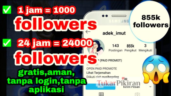 melihat akun stalker analyzer