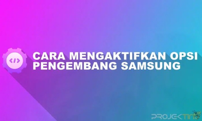 cara setting opsi pengembang samsung terbaru