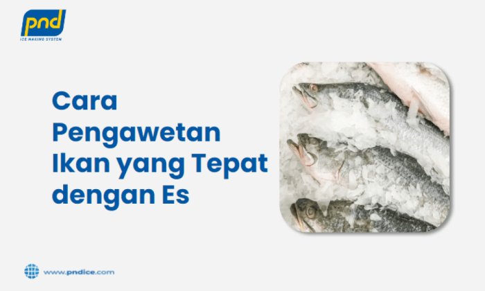 cara pengawetan ikan yang tepat adalah