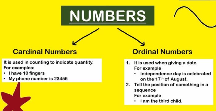 cardinal number and ordinal number 1 100