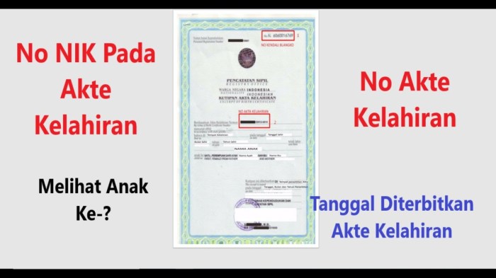 Cara melihat nomor registrasi akta kelahiran