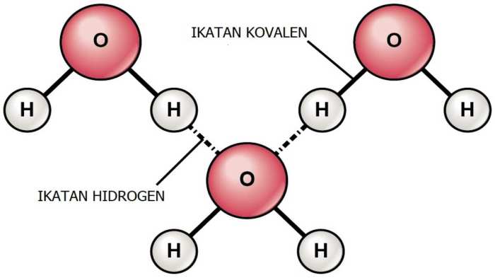 contoh soal ikatan hidrogen