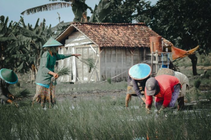 contoh puisi kearifan lokal sukabumi terbaru