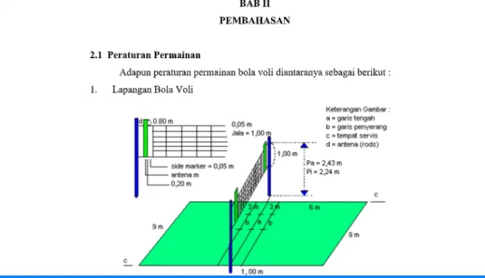 contoh makalah bola voli terbaru