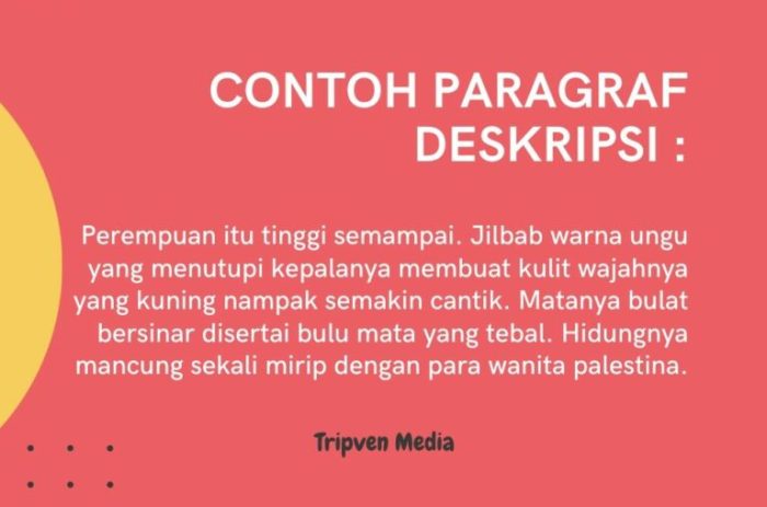 paragraf teks deskripsi narasi biografi fiksi ruangan yaitu singkat