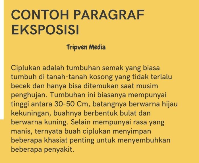 contoh soal teks eksposisi kelas 10 terbaru