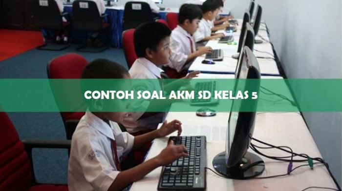 contoh soal akm sd kelas 5