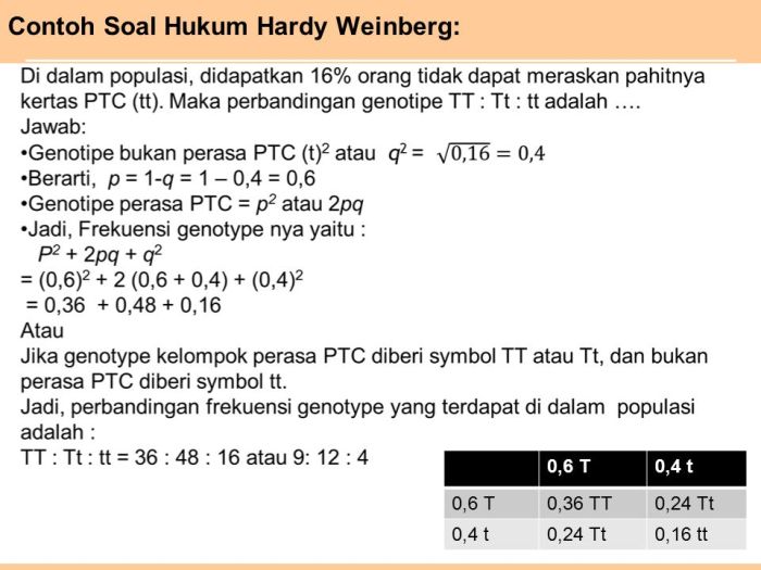 contoh soal hardy weinberg