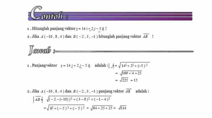 contoh soal panjang vektor terbaru