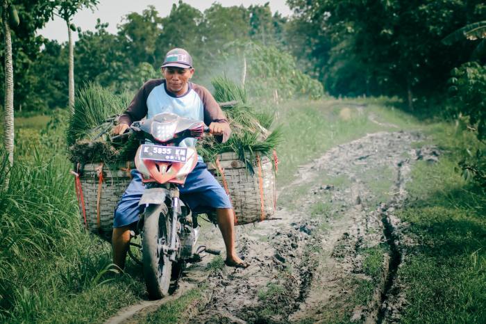 tembung entar lan tegese