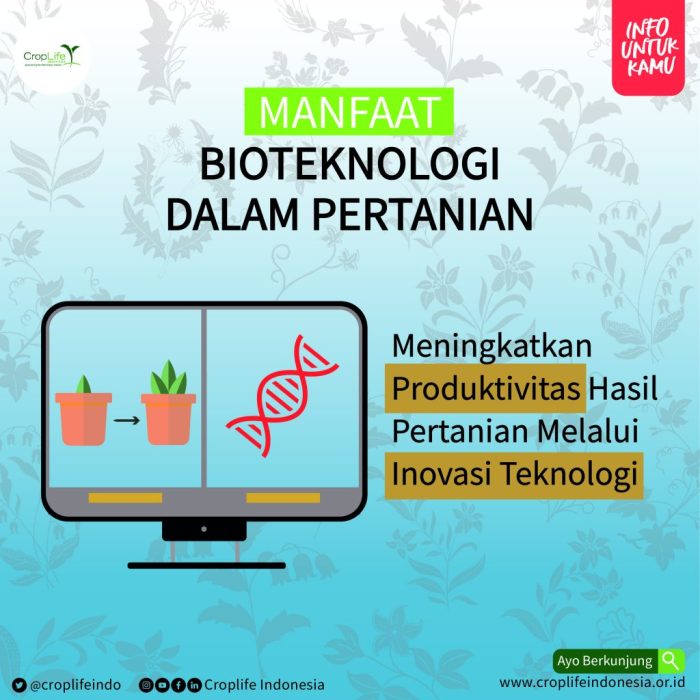 Bioteknologi kesehatan bidang peran bakteri antibodi antara kehidupan diatas hasil teknologi tumbuhan menghasilkan thiobacillus