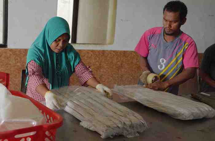 pengepakan ikan dilakukan di