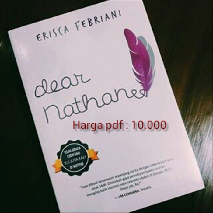 kesimpulan novel dear nathan terbaru