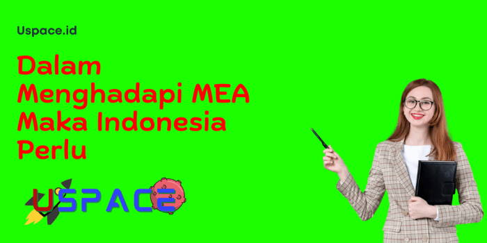 dalam menghadapi mea indonesia perlu