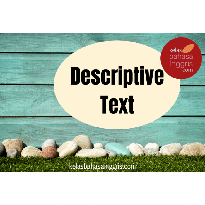 function of descriptive text