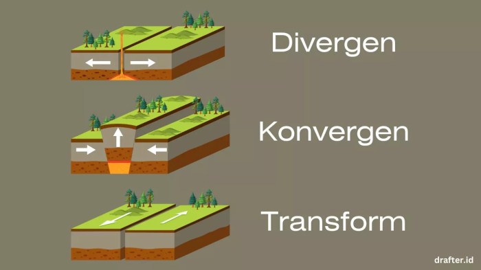 divergen evolusi konvergen spesies dalam satu dibagi lain situasi populasi