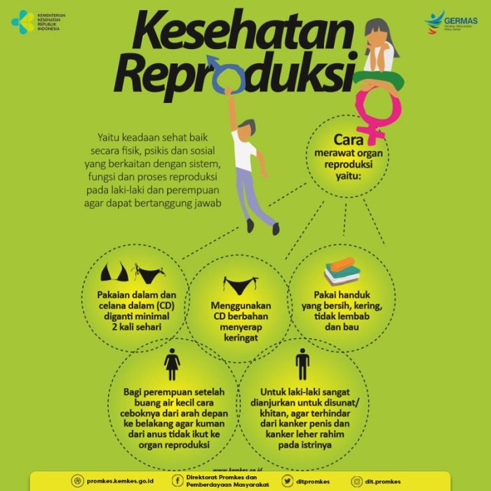 poster pencegahan penyakit reproduksi terbaru