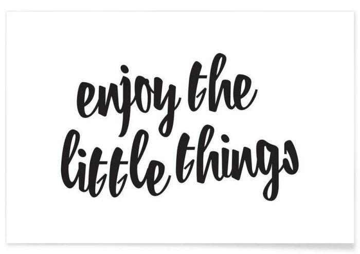 enjoy the little things artinya