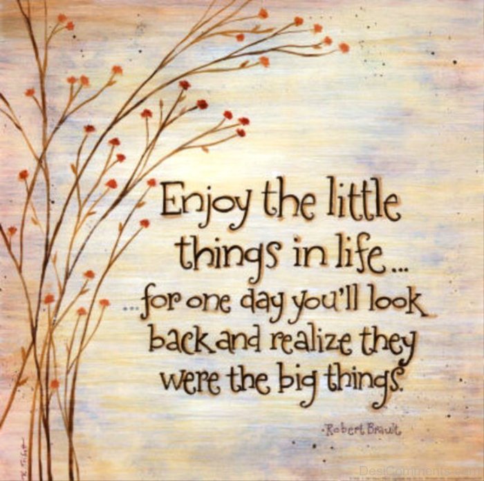 enjoy the little things artinya