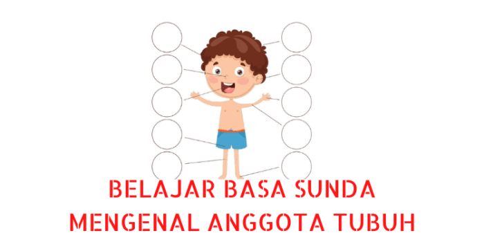 basa sunda anggota tubuh terbaru