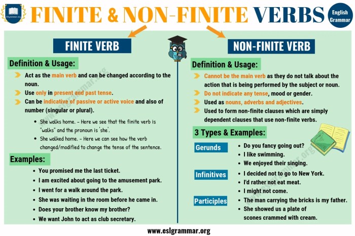 finite dan non finite clause terbaru