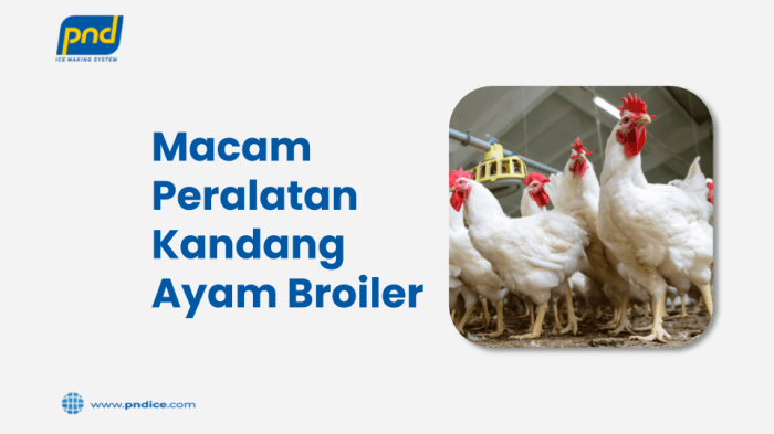 peralatan kandang ayam broiler terbaru