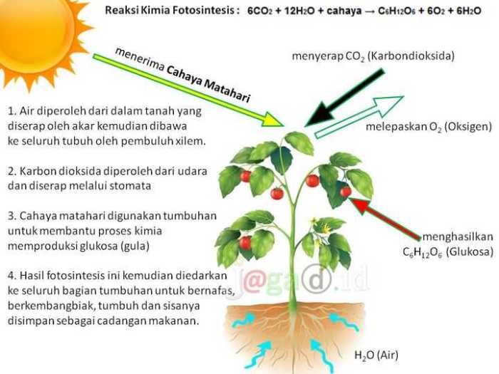 Pertanyaan tentang radiasi elektromagnetik