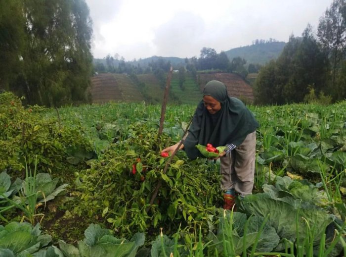 khas selatan sumatera kuah punya kuliner gurih sensasi endeus